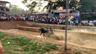 Kambala: Winner of Mulki seeme Arasu Kambala - Eruvail Panila