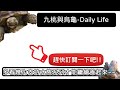 水族系列回來啦 【水族日常《daily life》】