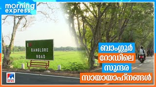 പത്തനംതിട്ടയില്‍ വൈകുനേരം ചെലവിടാന്‍ ബാംഗ്ലൂർ റോഡ് | Bangalore Road | PTA