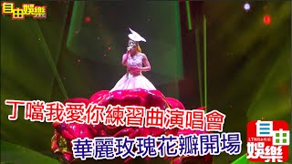 20151114 丁噹“我愛你練習曲”演唱會開場-手掌心