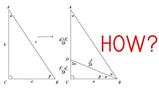 Teens discover new proof of Pythagoras' Theorem using trigonometry