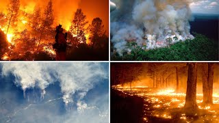 Deadly Amazon rainforest fire spotted from space