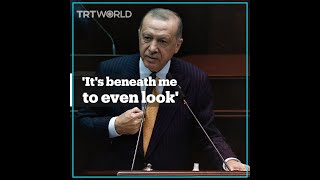 Erdogan says cartoons targeting him in France ‘beneath me’