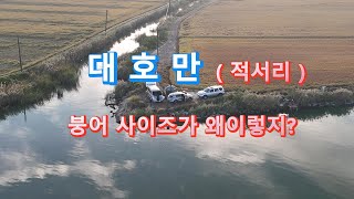 대호만 붕어사이즈가 왜 이렇지? *더 더 기 다 리 자*#fishing #낚시 #붕어낚시