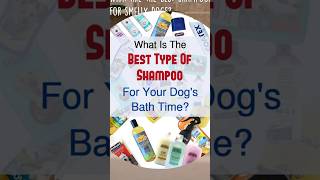 Best Dog Shampoo \u0026 Conditioner #shortvideo #dogshampoo