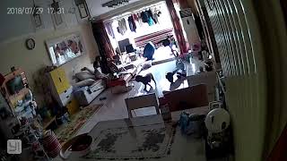 Hoverboard over charging exploded