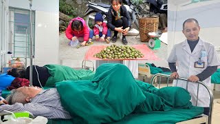 Life stabilizes after separation: Planting vegetables and harvesting ambarella with Bun \u0026 Bin