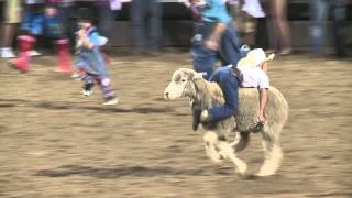 Spanish Fork Rodeo mutton busting