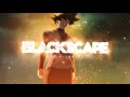 NEW BlackScape Intro 2019