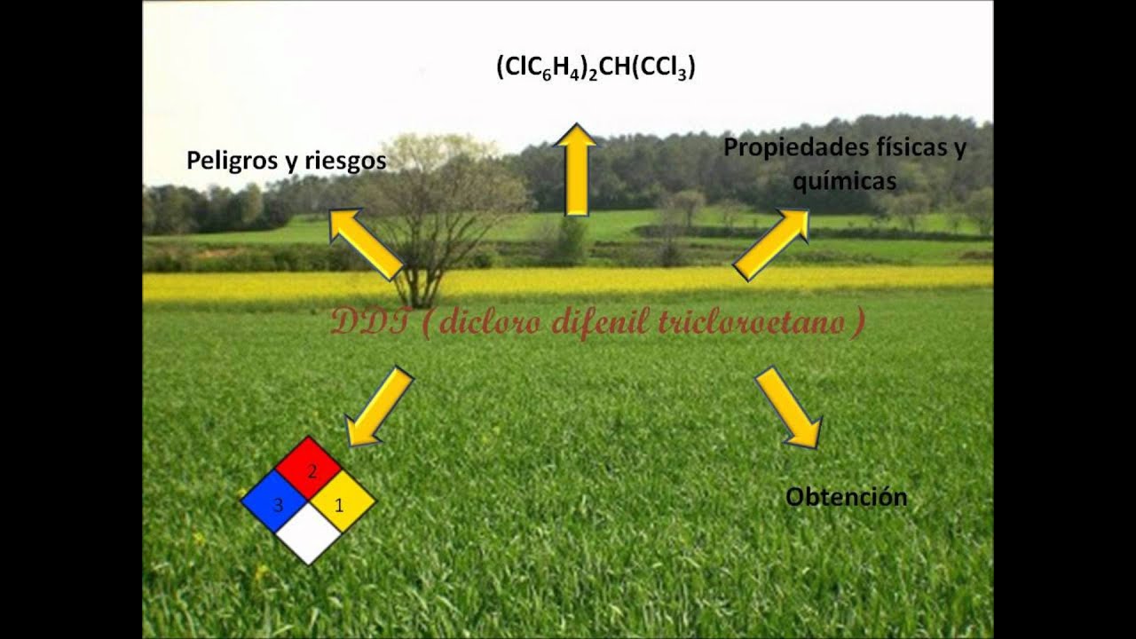 Los Agroquimicos Youtube