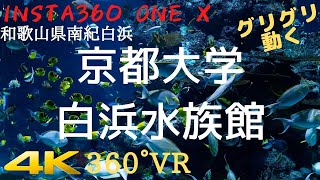 【4K360°VR】和歌山県 南紀白浜 京都大学 白浜水族館 （3840×1920） kyoto university Aquarium Wakayama