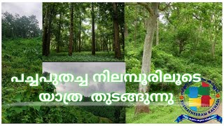 Nilambur yathra, Curious views of Nilambur Yatra, നിലമ്പൂർ യാത്രയിലെ കൗതുകങ്ങൾ