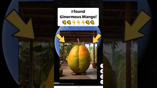 I found Ginormous Mango 🥭 on Google Earth 🌎 and Google Maps #googleearth #googlestreetview