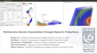 Multivariate Volume Visualization through Dynamic Projection
