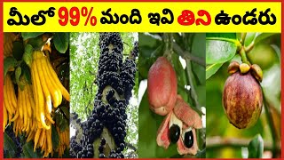 మీలో 99% మంది ఇవి తిని ఉండరు |  Unusual Fruits | Amazing Fruits | Telugu Facts | VVM Facts