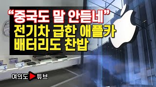 [여의도튜브] “중국도 말 안듣네” 전기차 급한 애플카 배터리도 찬밥 / 머니투데이방송