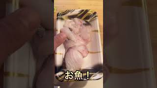 【毎日の節約料理】36歳1児のパパの節約朝食 #asmr #子育て #節約