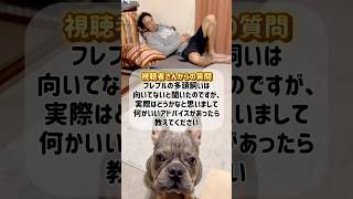 フレブルは多頭飼いに向いてない？縄張り争いは？ #shorts