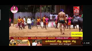 Balakunja Kambla Semi Final Ballda Malla Nandalike Vs Kadandale #kambala #livekambla#