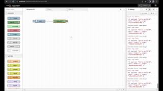 Inject and debug node - advanced | Node-RED