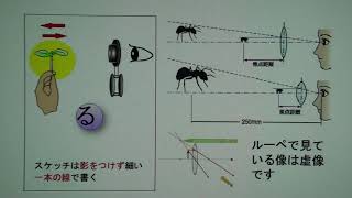 中学１年－超基本！ルーペの正しい使い方－
