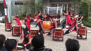 「桜嵐」紅太鼓 2019.10.13 サザエさん通り夢まつり