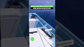 Divulgan video donde un barco atunero habría matado un delfín en BCS