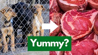 I Tried Eating Dog Meat - Here's What It's Like [Ecochat]