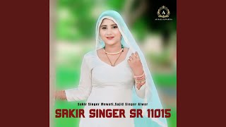 Sakir Singer Sr 11015