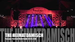 The Heimatdamisch Video Killed The Radio Star