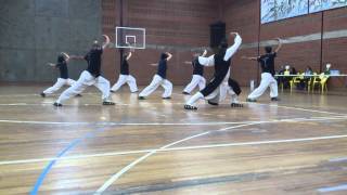 Wudang Spain (Catalunya) - Exhibición Wuxing Qigong