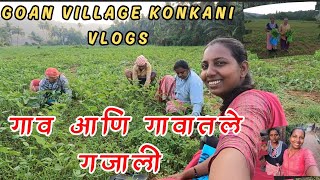 गाव म्हणजे सुख..❤️||चला आयकोया गावातले आणि शेतातले गजाली 😃|| our Village Lifestyles 🥰#konkanivideos