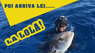 Poi arriva la lola! [ Michele Giurgola ]