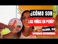 TACAMA, experiencia en uno de los Viñedos de ICA, PERÚ