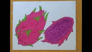 Cara menggambar buah naga