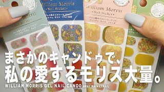 え!? 私の愛するモリスがキャンドゥでまさかのネイルシールになって、しかも大量って幸せすぎる。一度挫折したモリスがネイルになった日。【マイニーネイル】