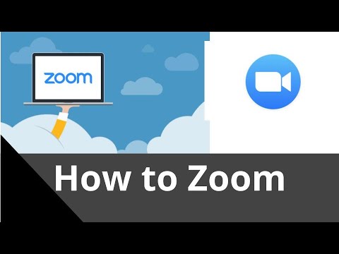 How To Use Zoom - Basics - YouTube