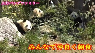 レイちゃんとシャオくん、ママと一緒に朝食＆未公開動画　2022.11.02\u002610.05