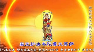 Buddhism Buddha Video《南无护法韦陀尊天菩萨》女声虔诚持诵（缘聚禅莲徒儿）