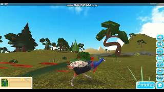 Roblox Farm World Turtle Codes For Free Robux In Games - how to play farm world on roblox