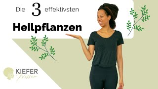 Die 3 wichtigsten HEILPFLANZEN für deine Gesundheit