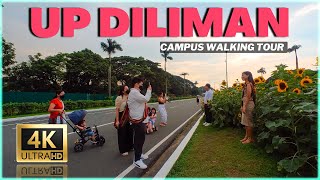 UP DILIMAN CAMPUS WALK TOUR: A Scenic Stroll Inside This Famous University Quezon City Philippines