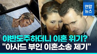 '야반도주' 시리아 독재자 이혼설…\