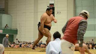 大相撲横須賀場所　決まり手