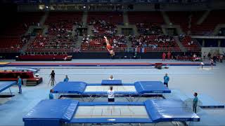 STRONG Luke (GBR) - 2017 Trampoline Worlds, Sofia (BUL) - Qualification Trampoline Routine 2