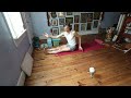 steps to navasana boat pose asana kitchen with david garrigues