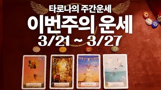 [타로] 이번주에는 어떤 일이 있을까요? | 3/21~3/27​ | 주간운세 🔮