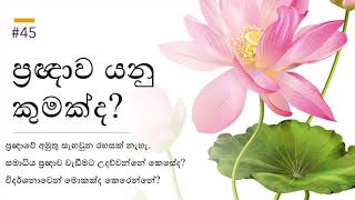 ප්‍රඥාව යනු කුමක්ද?- What is Wisdom?