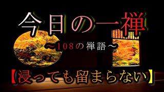 【今日の一禅】　「心如水中月」　~108の禅語~