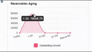 AngularJS based Charts in BizRunnr